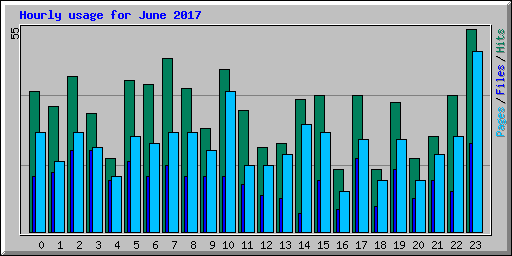 Hourly usage for June 2017